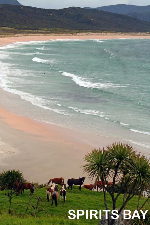 Pukenui Holiday Park Bagian luar foto