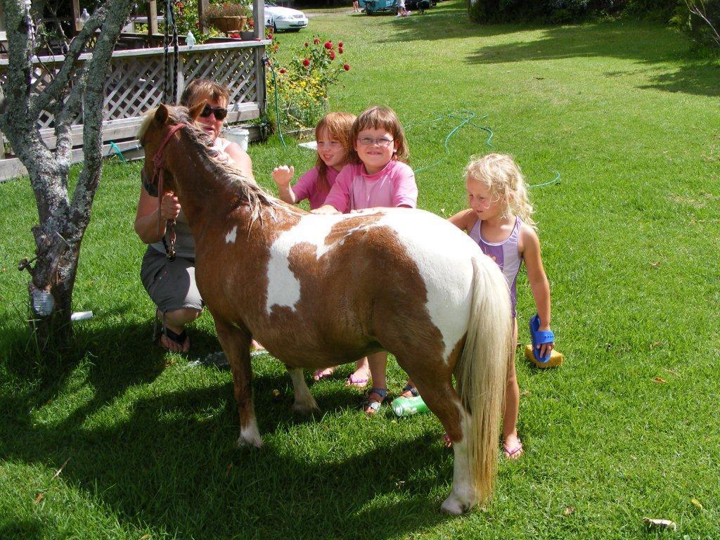 Pukenui Holiday Park Bagian luar foto